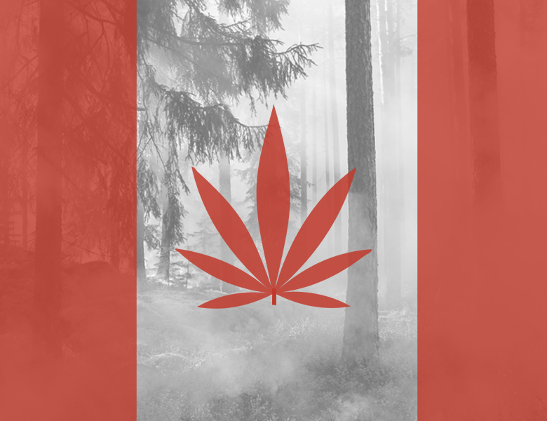 Canadian flag with maple leaf replaced by marijuana leaf